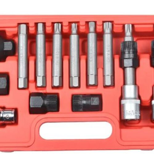 KIT DE PUNTAS PARA DESMONTAJE DE ALTERNADORES CON XZN, TORX Y HEXAGONALES (13 PIEZAS)